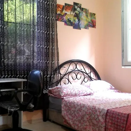 Comfort - 4 Star Beautiful Between Cleopatra 1 And Harbor אלאניה